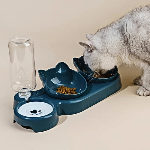 3 In 1 Cat Feeder