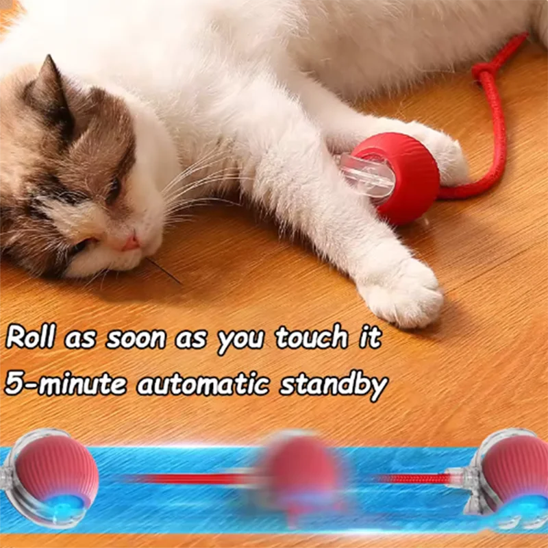 Automatic Cat Ball Toy