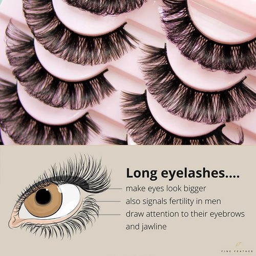 10 Pairs Russian Strip Lashes